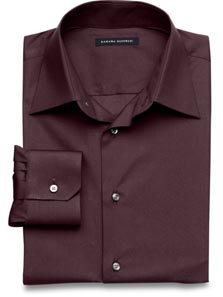 Fitted Stretch Poplin Shirt 