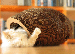Cat Cocoon at One Form Design