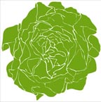 Lettuce Vinyl Wall Art