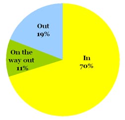 Omiru Poll Result: Bright Yellow is IN