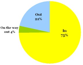 Omiru Poll Result: Wide Trouser Jeans are In!