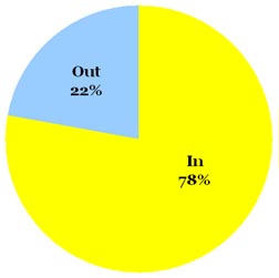 Omiru Poll Result: Bright Yellow is In!