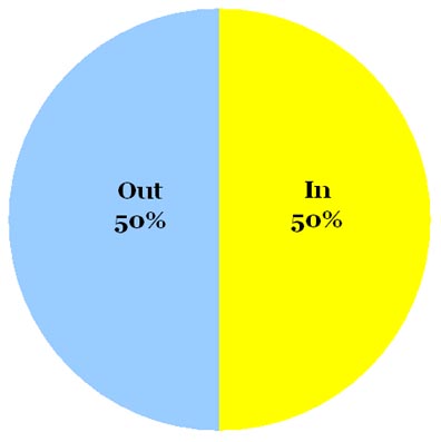 Omiru Poll Result: Fishnets are In (50%) and Out (50%)