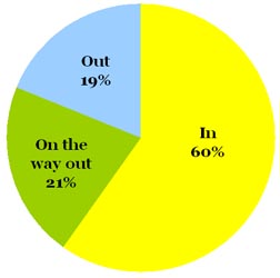 Omiru Poll Result: Mustard Yellow is IN