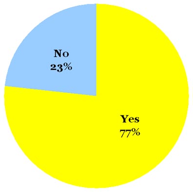 Omiru Poll Result: Yes to Plaid!