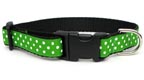 Primary Dots Medium Dog Collar