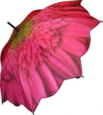 Pink Dahlia Umbrella
