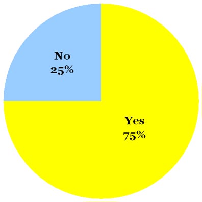 Omiru Poll Result: Yes to Horizontal Stripes