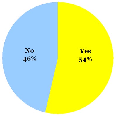 Omiru Poll Result: Maybe to Safari Style