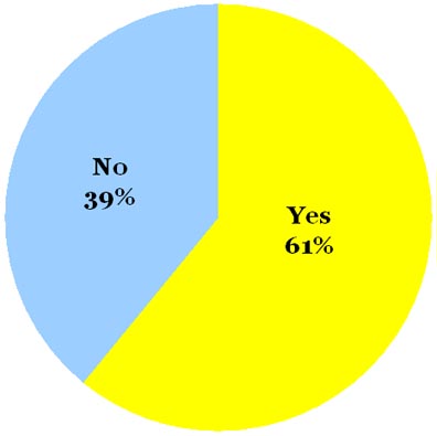 omiru-poll-result-yes-to-pastel-colors_022209 omiru-poll-result-yes-to-pastel-colors_022209