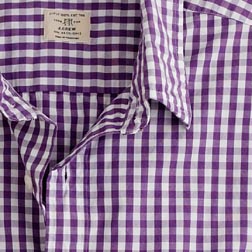 secret-wash-button-down-gingham_040509