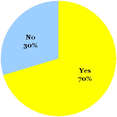 omiru-poll-result-bright-yellow_062809 omiru-poll-result-bright-yellow_062809