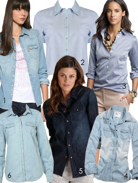 chambray-shirt_013110